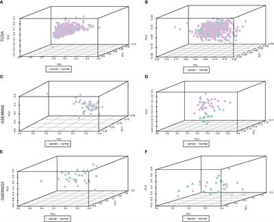 The m6A methylation landscape, molecular characterization and clinical relevance in prostate adenocarcinoma